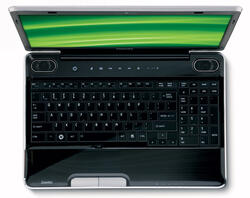Ремонт ноутбука TOSHIBA SATELLITE A505D-S6008 в Москве
