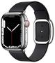 Apple Watch 7 Steel