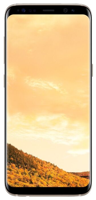 Ремонт Samsung Galaxy S8 в Москве