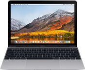 Ремонт MACBOOK 12 SPACE GREY Z0TX0001X в Москве