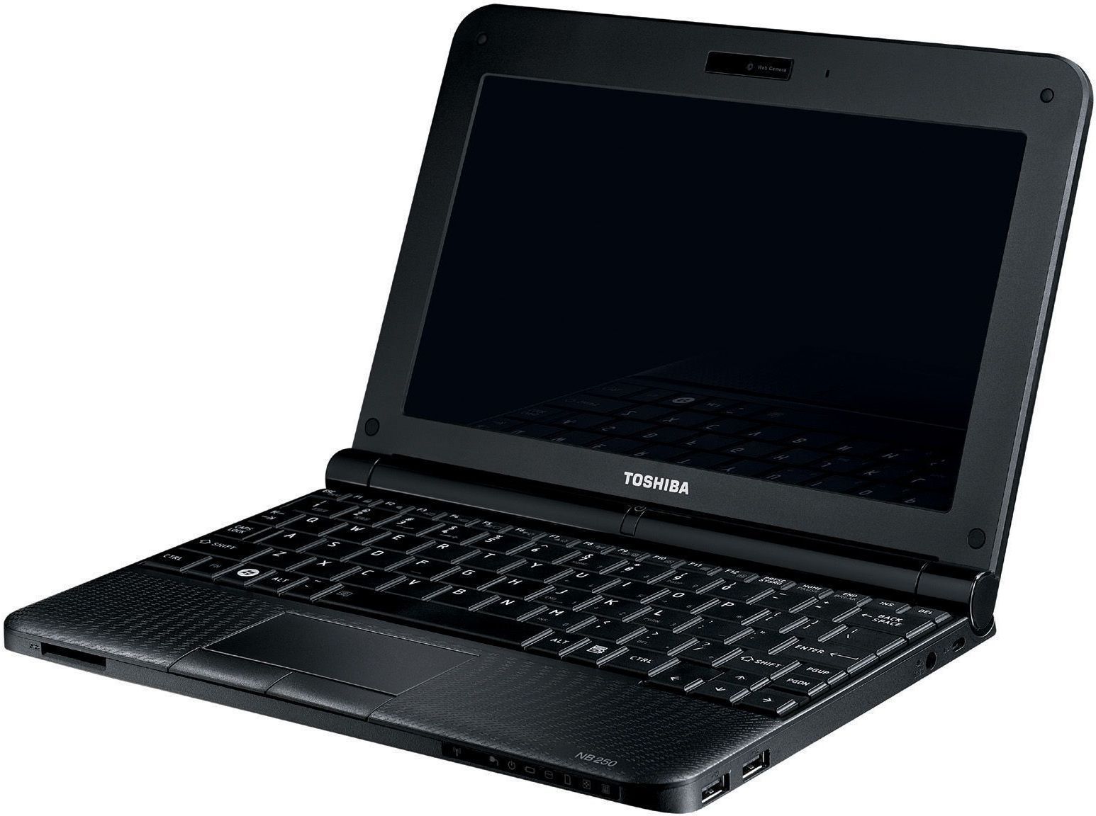 Ремонт TOSHIBA NB250-107 в Москве