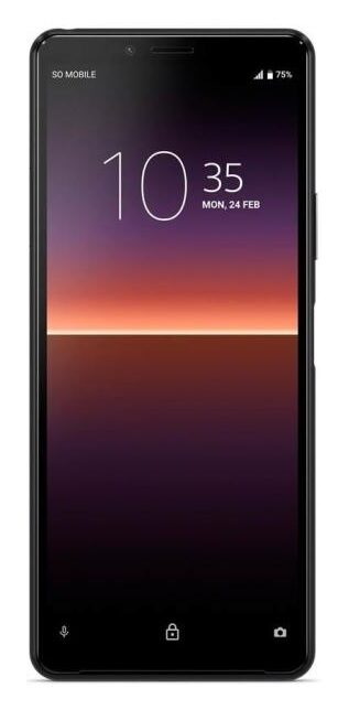 Ремонт Sony Xperia 10 II в Москве
