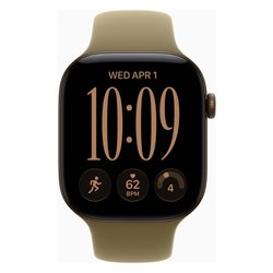 Ремонт Apple Watch 12